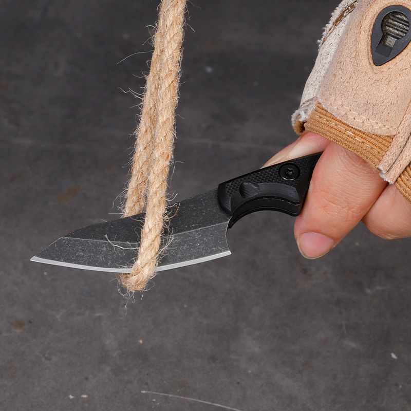5CR15 Stainless Steel Small Fi - đánh giá và giá Edc Pocket Carry Fixed Blade
