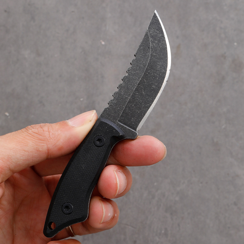 5CR15 Stainless Steel Small Fi - đánh giá và giá Edc Pocket Carry Fixed Blade
