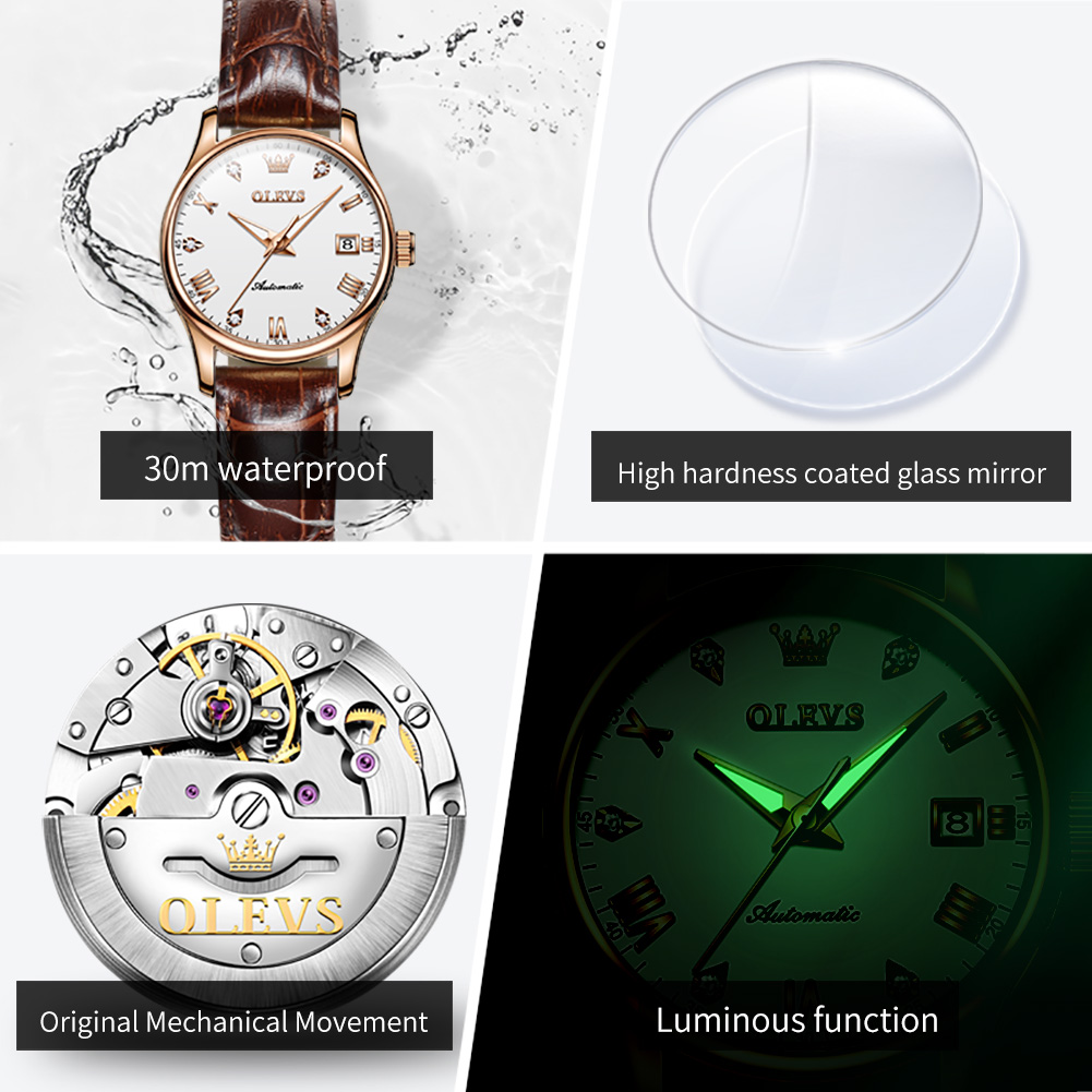 OLEVS 9932 Women's Watches Fas - đánh giá và giá Watch Winder Compact